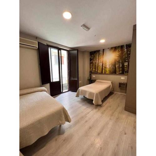 Hostal Viena Plaza Nueva