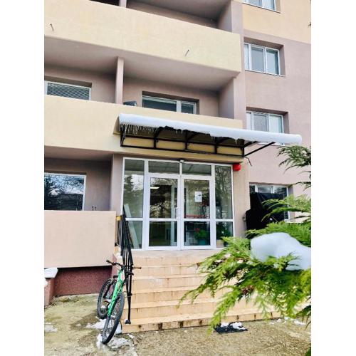 Hostel 29