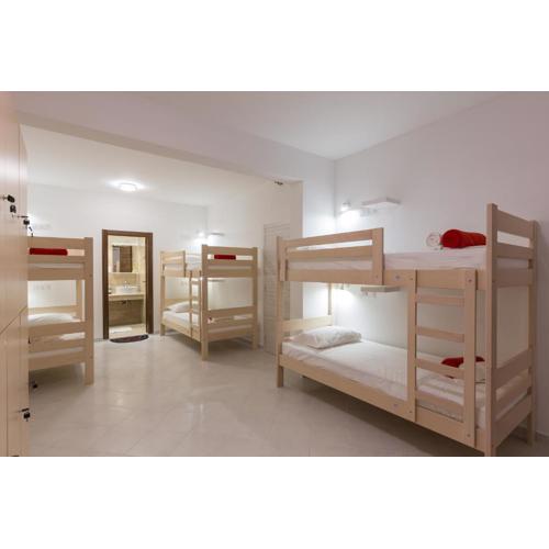 Hostel Free Bird