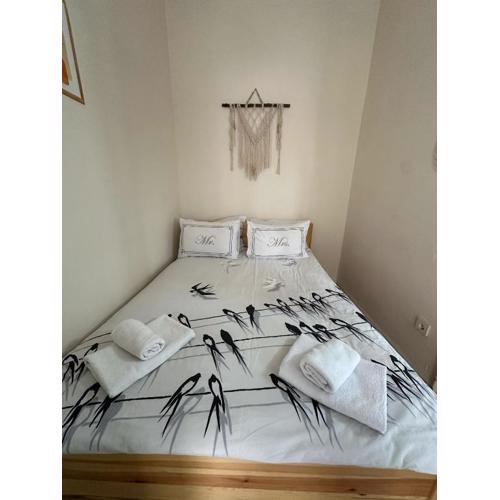 Hostel Nelly