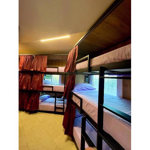 Hostel Vida Verde