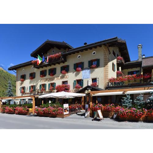 Hotel Alpina