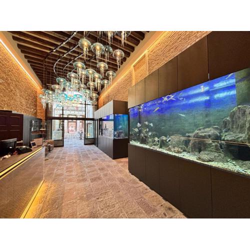 Hotel Aquarius Venice - Ascend Collection