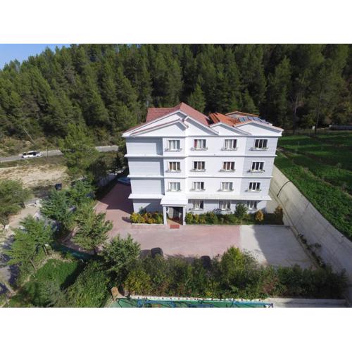 Hotel Elvis