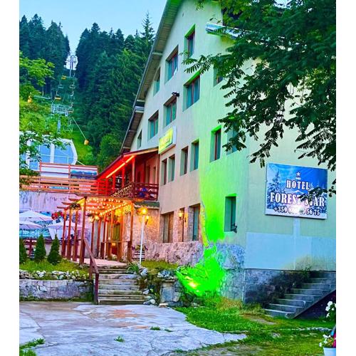 Hotel Forest Star on the Ski Slope
