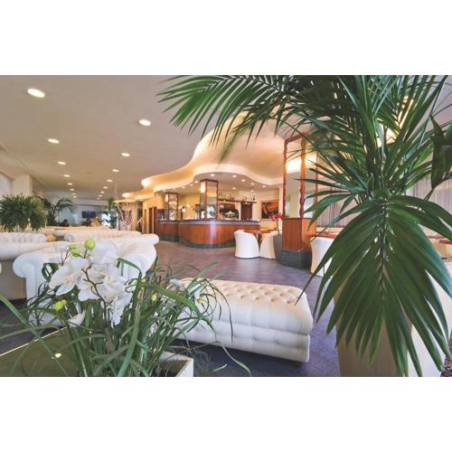 Hotel Foschi-Peninsula