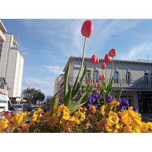 Hotel Ginevra