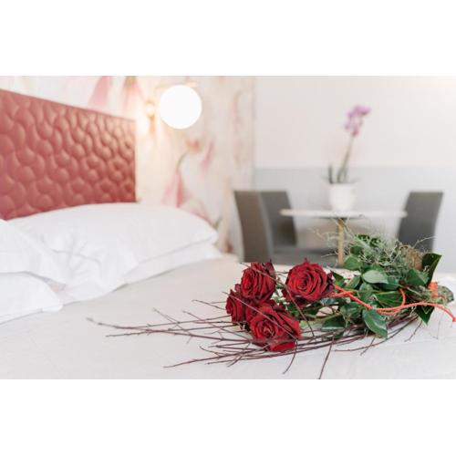 Hotel Giulietta e Romeo ***S