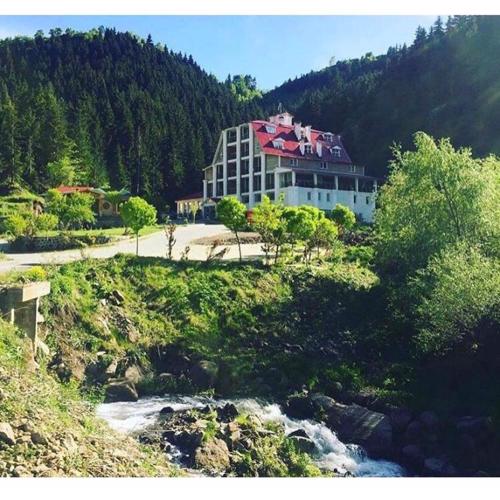 Hotel Green Valley Savsat