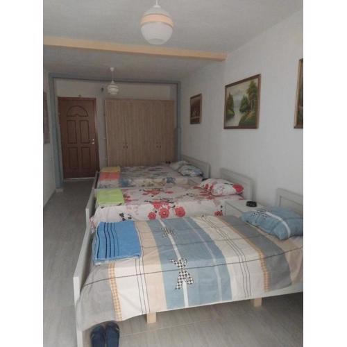 HOTEL LEDION