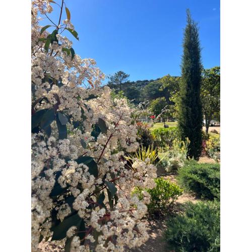 Hotel les jardins Sta Giulia avec piscine