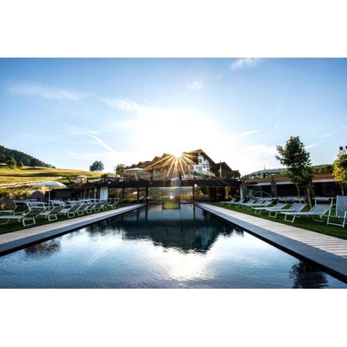Hotel Pinei