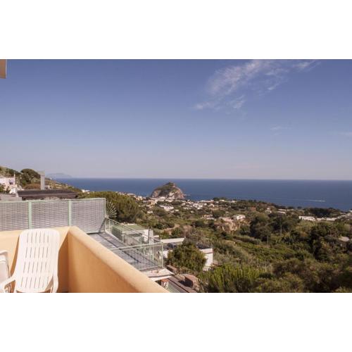 Hotel Polito