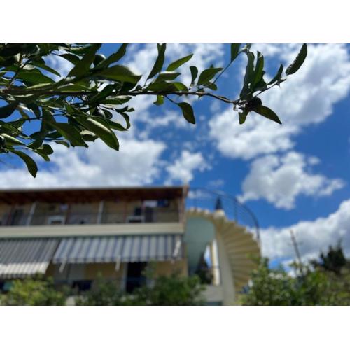 Hotel Portokali
