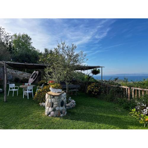 Hotel Restorant Olti