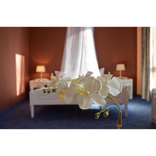 Hotel Shterev Sopot