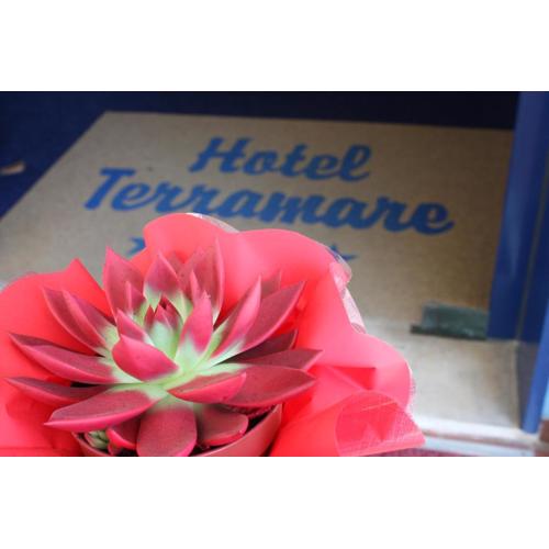 Hotel Terramare