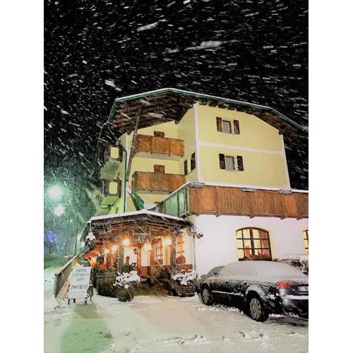 Hotel Tosa