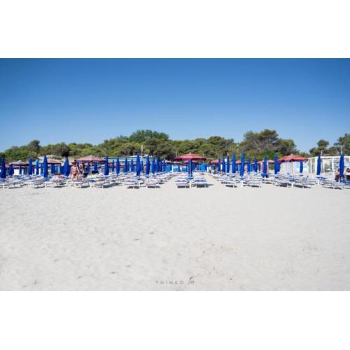 Hotel Universo