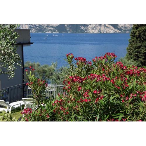 Hotel Vela Azzurra