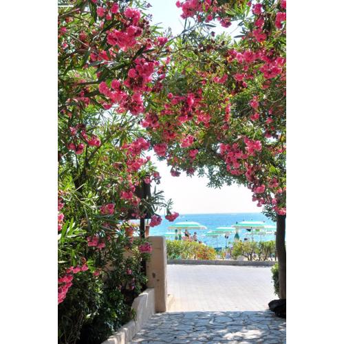 Hotel Villa Rodriguez