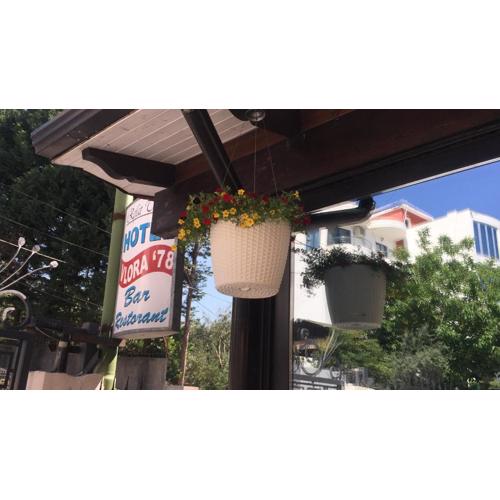 Hotel Vlora 78