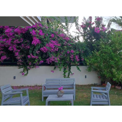 House - Cesme Boyalık
