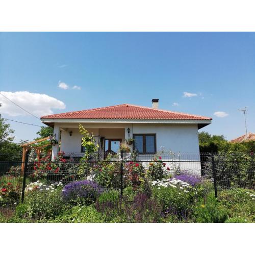 House Albena
