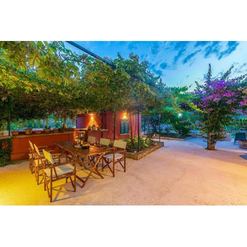 House Bougainvillea