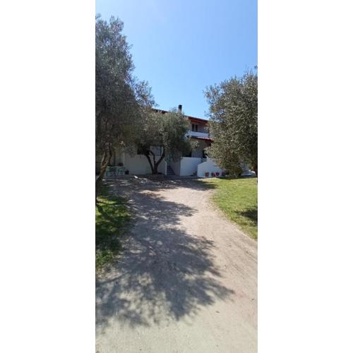 House Eugenia Sarti