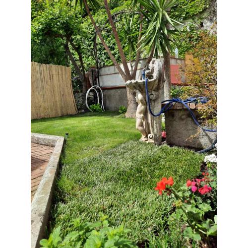 House Garden San Lorenzo