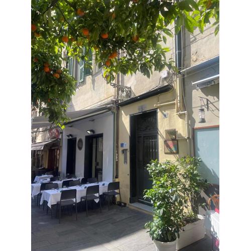 House Gaudio 38