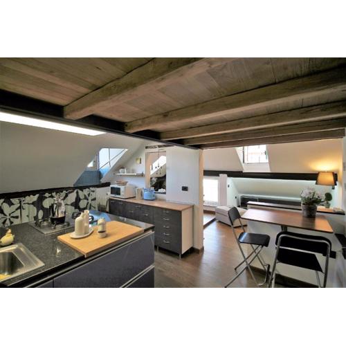 House Golia by Holiday World