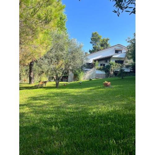House in Sani,very close to the beach and marina