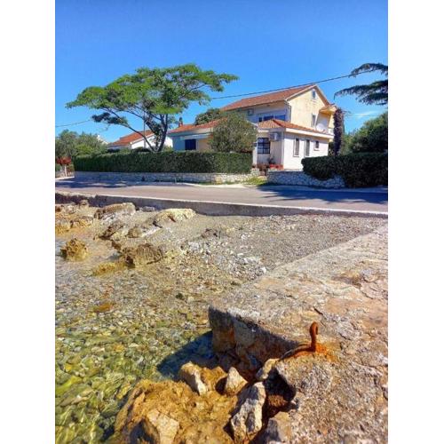 House of Albina- 10 m od mora