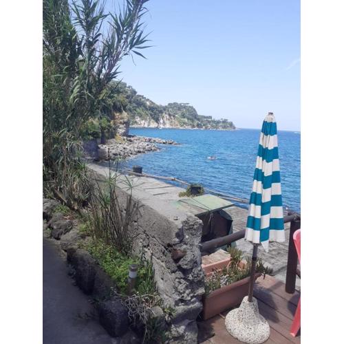 house on the sea 3