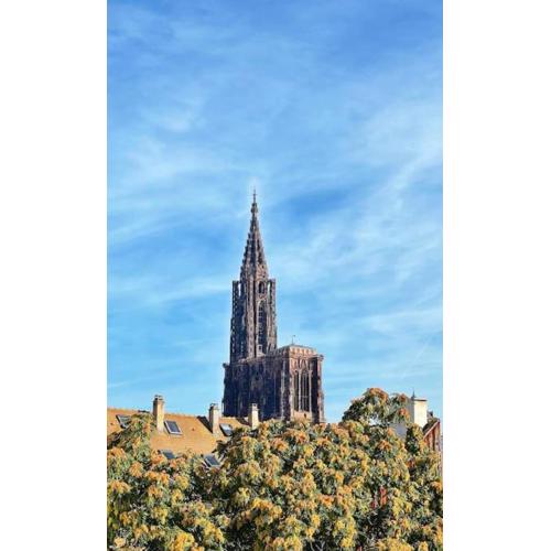 Hyper centre vue cathédrale