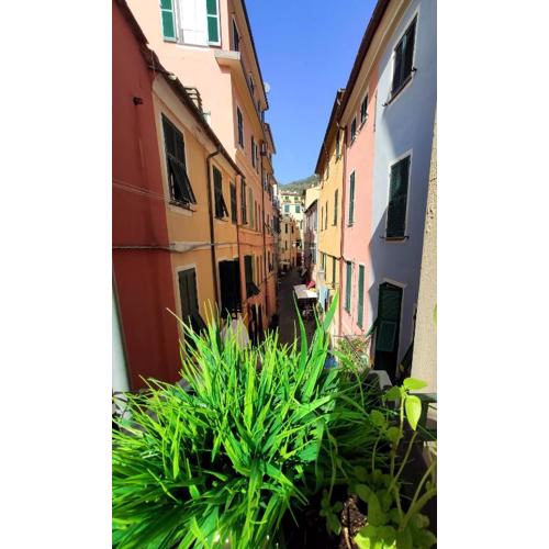 Il Balconcino sul carugio