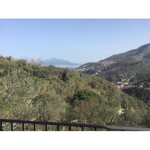 Il Casale Del Mirto