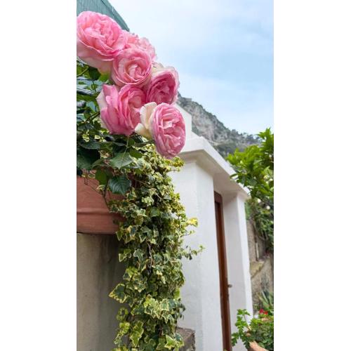 Il Cigno B&B