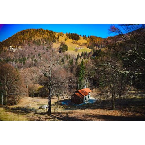 Il Faggio by Wonderful Italy