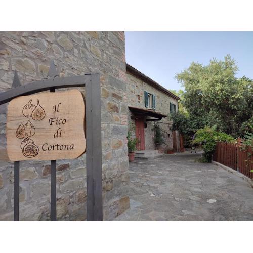 Il Fico di Cortona