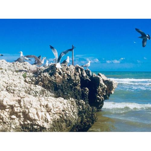 Il gabbiano, attico con terrazzo vista mare