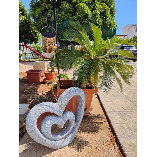 Il giardino di Alessandra