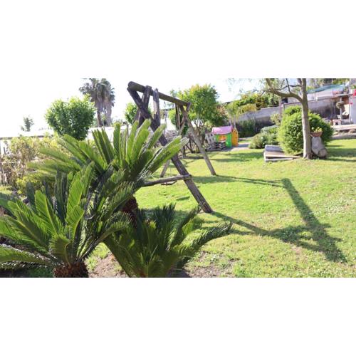 Il giardino di Mary