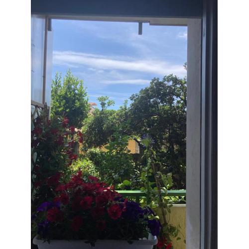 Il giardino segreto