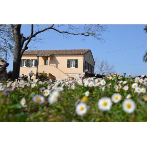 Il Mandorlo - Agriturismo e Azienda Agricola Ferrato