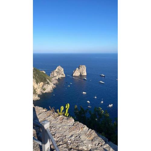 Il Merlo Capri