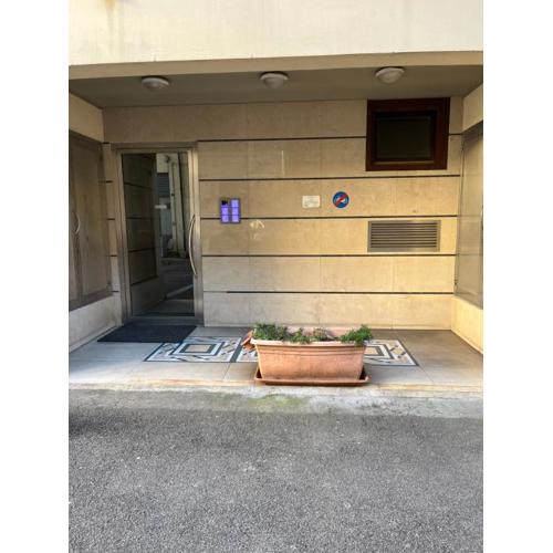 Il mio Iris