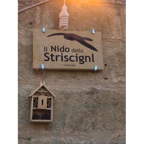 Il Nido dello Striscignl